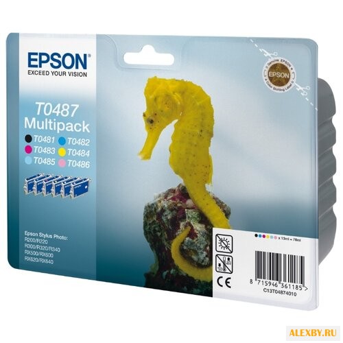 Картридж Epson C13T04874010