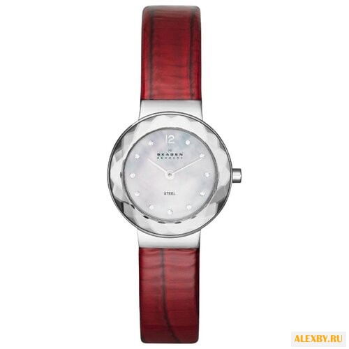 Наручные часы SKAGEN SKW2109