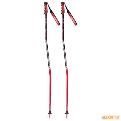 Палки для горных лыж Rossignol