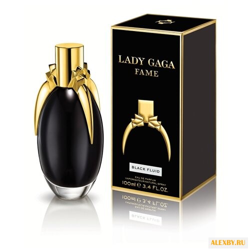 Lady Gaga Fame