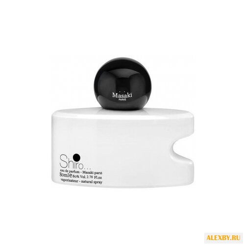 Masaki Matsushima Shiro