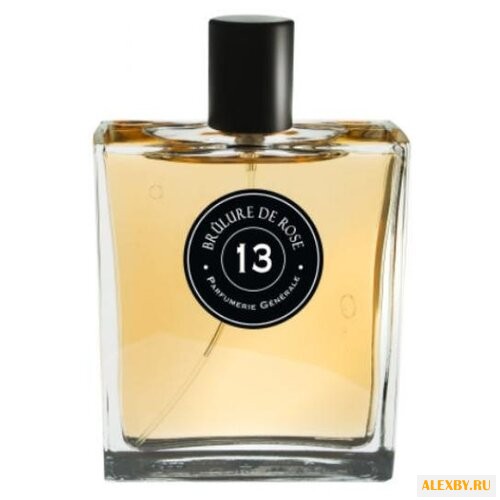 Pierre Guillaume PG 13 Brulure