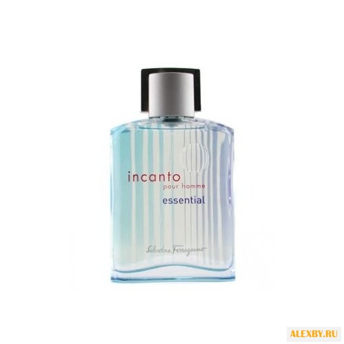 Salvatore Ferragamo Incanto