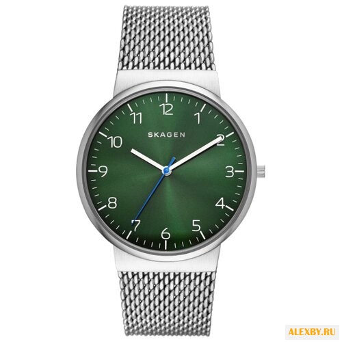 Наручные часы SKAGEN SKW6184