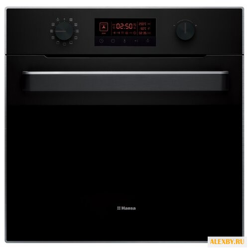 Духовой шкаф Hansa BOES694000