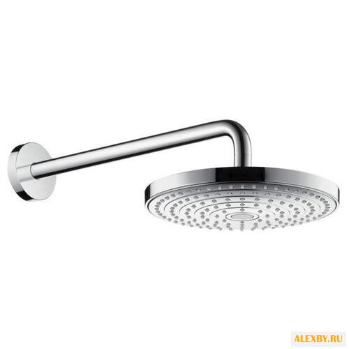 Верхний душ Hansgrohe Raindance