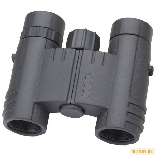 Бинокль LEVENHUK Monaco 10x25