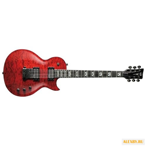 Электрогитара VGS Eruption