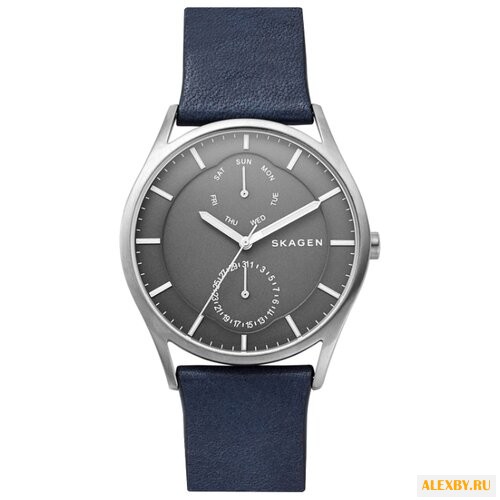 Наручные часы SKAGEN SKW6448