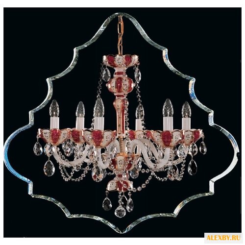 Elite Bohemia L 973 6 37