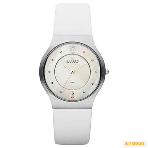 Наручные часы SKAGEN SKW2027