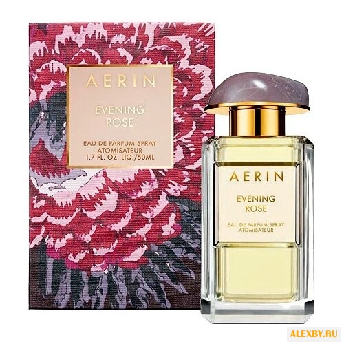 AERIN Evening Rose