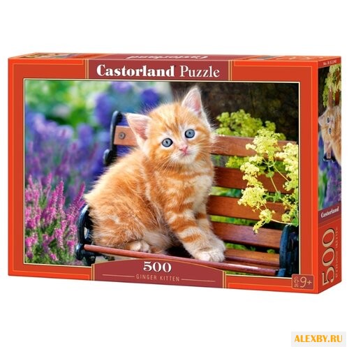 Пазл Castorland Ginger Kitten