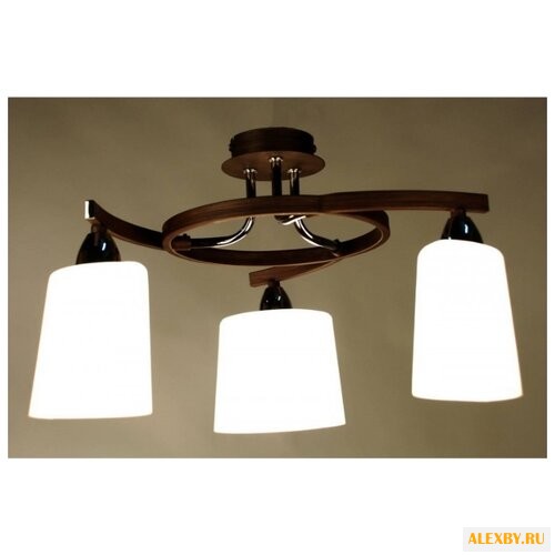 Citilux Тайфун CL136131