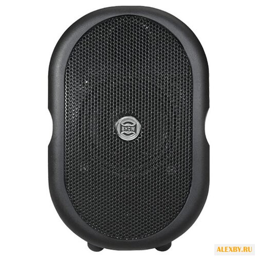 Акустическая система Show CSB10T