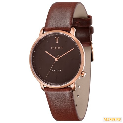 Наручные часы FJORD FJ-3031-03