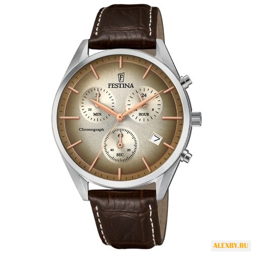 Наручные часы FESTINA F6860 1
