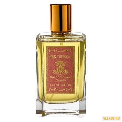 Maria Candida Gentile Noir