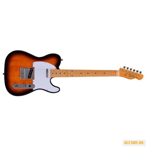 Электрогитара Tokai ATE38
