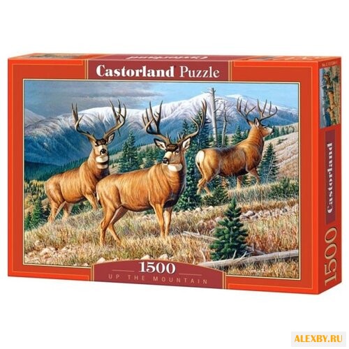 Пазл Castorland Up The Mountain
