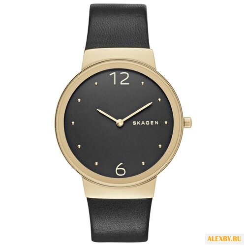 Наручные часы SKAGEN SKW2370