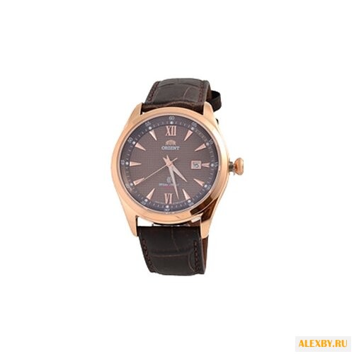 Наручные часы ORIENT UNF3001T