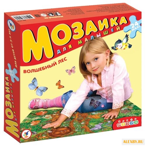 Рамка-вкладыш Дрофа-Медиа