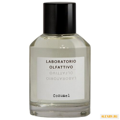 Laboratorio Olfattivo Cozumel