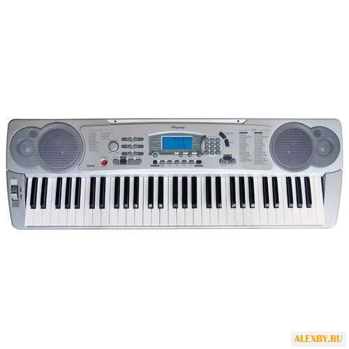 Синтезатор Ringway TB688