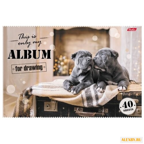 Альбом для рисования Hatber