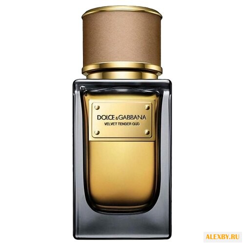 DOLCE & GABBANA Velvet Tender Oud