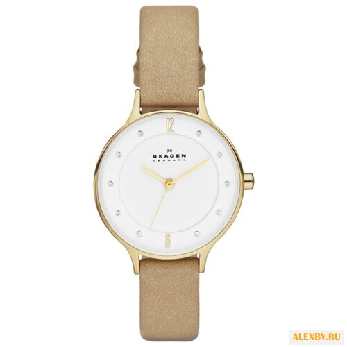 Наручные часы SKAGEN SKW2146