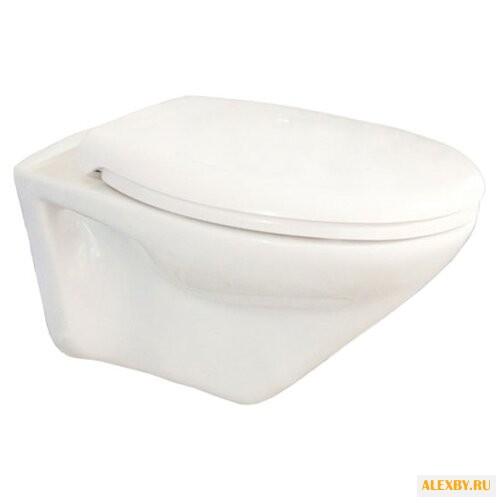 Унитаз IDDIS Neofix NEODE00i25