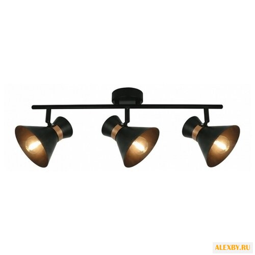 Arte Lamp A1406PL-3BK