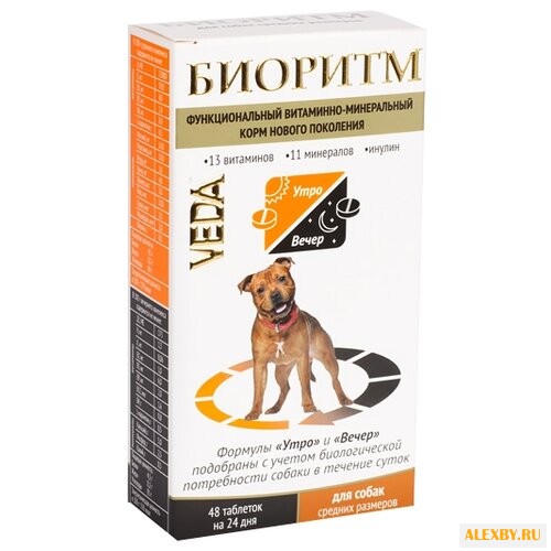 Витамины VEDA Биоритм для собак