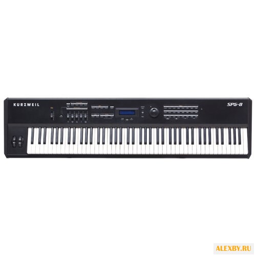 Купить Цифровое пианино Kurzweil SP5-8