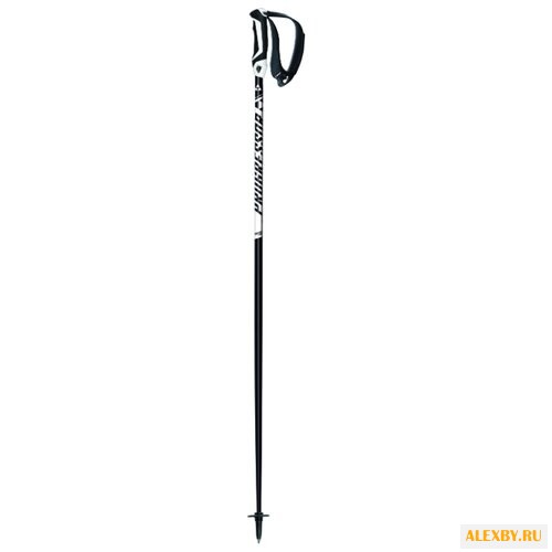Палки для горных лыж Fischer