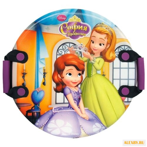 Ледянка 1 TOY София Т57206