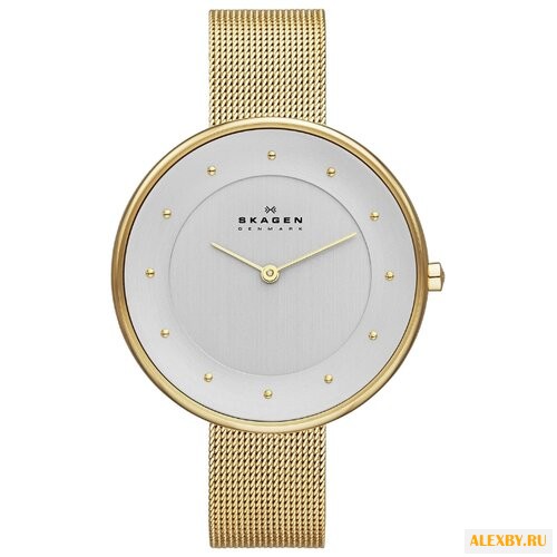 Наручные часы SKAGEN SKW2141