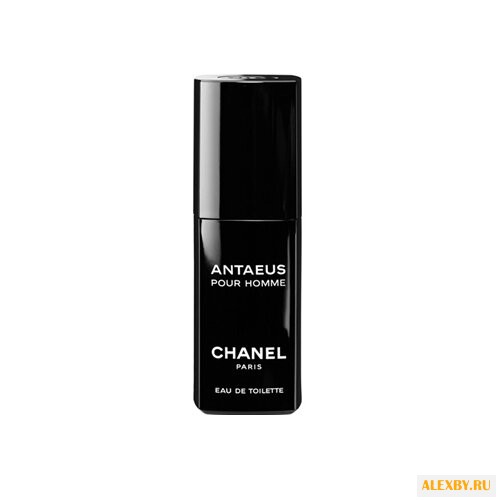 Chanel Antaeus