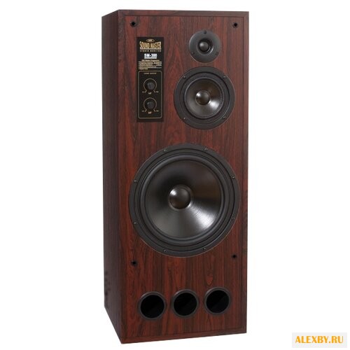 Акустическая система