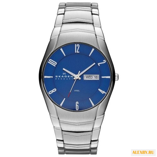 Наручные часы SKAGEN SKW6033