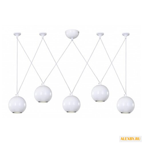 Favourite FV 1599-5P