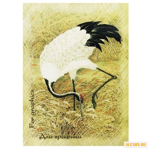 Скетчбук для графики Лилия