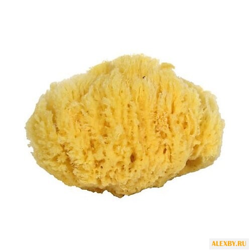 Губка «7 морей» натуральная