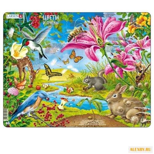 Рамка-вкладыш Larsen Цветы и