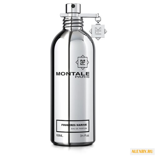 MONTALE Fougeres Marines