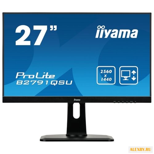 Монитор Iiyama ProLite