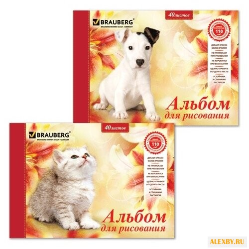 Альбом для рисования BRAUBERG