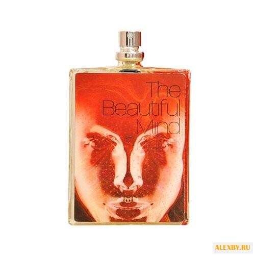 The Beautiful Mind Series